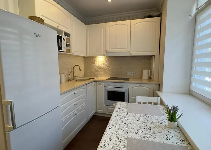 Apartment In The Centre Of City